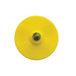 CROTAL BOTON PUNTA METAL