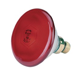 BOMBILLA INFRARROJOS BAJO...