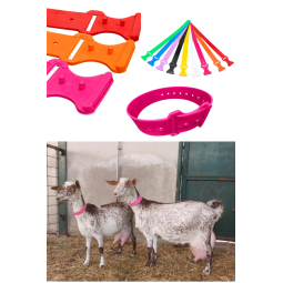 COLLAR   DelarisMARK