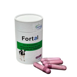 FORTAL - BOLO DE...