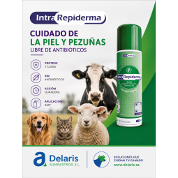 Intra REPIDERMA 250 ml.